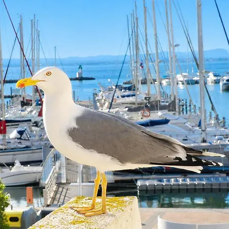 Adoya Vue Et Port Parking Gratuit Wifi , Piscine, Tennis * Le Grau-du-Roi